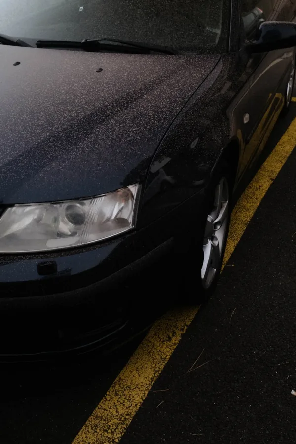 Saharastaub-Ablagerungen auf schwarzem Autolack nach Blutregen